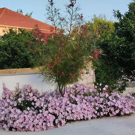 Сasa de vacaciones Erasmia- House 2 Upper Floor Svoronata